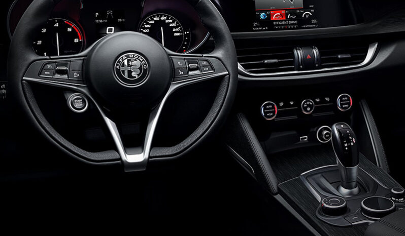 ALFA ROMEO STELVIO pieno